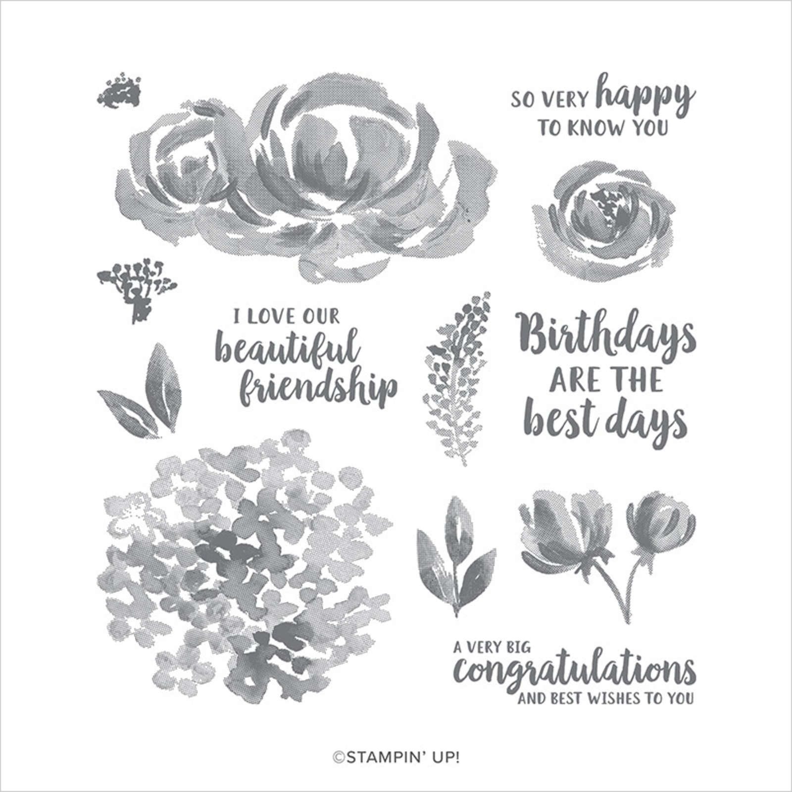 beautiful friendship stamp set from Stampin' Up!