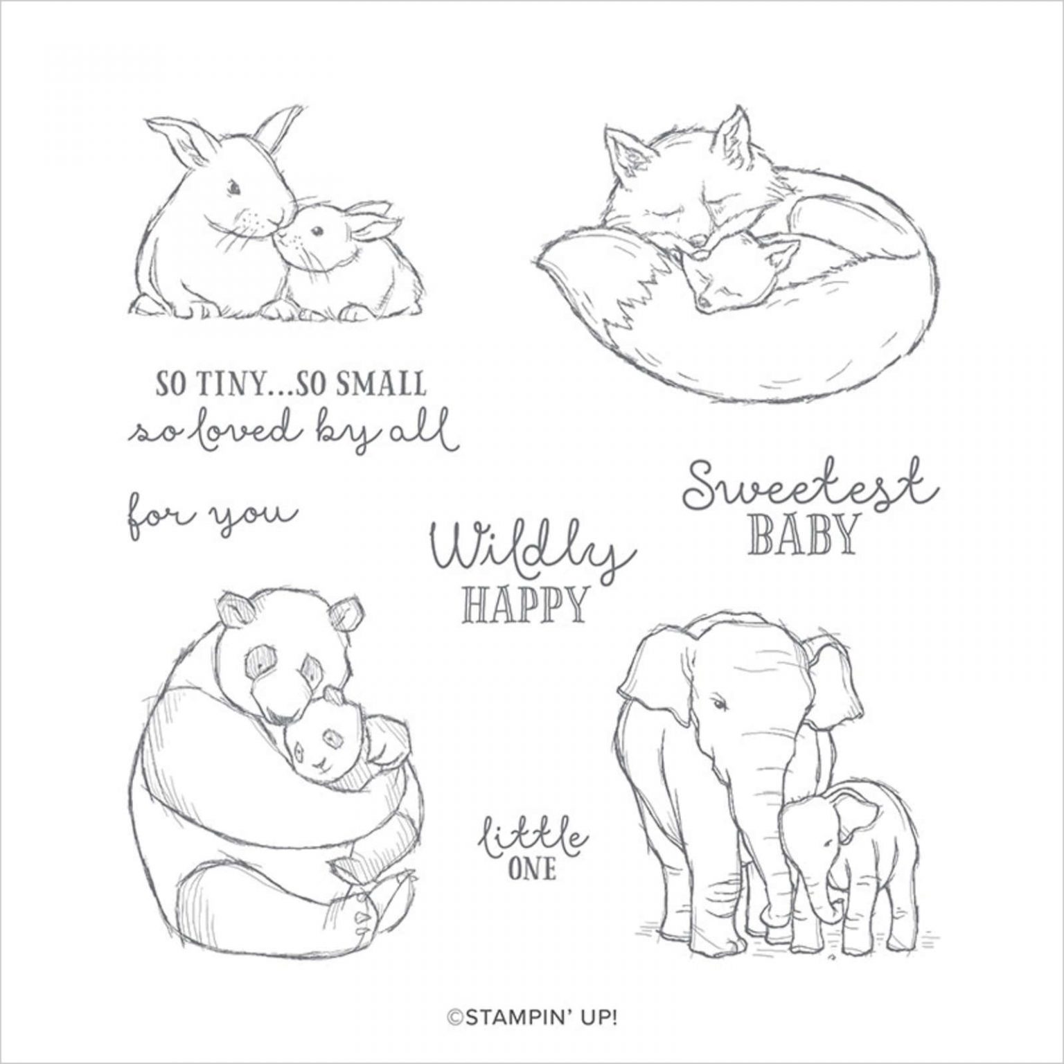Wildly Happy Baby Girl Card Stamp With Jenn