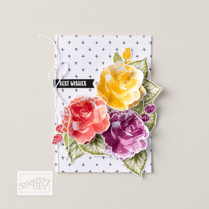 product of the month July 2026