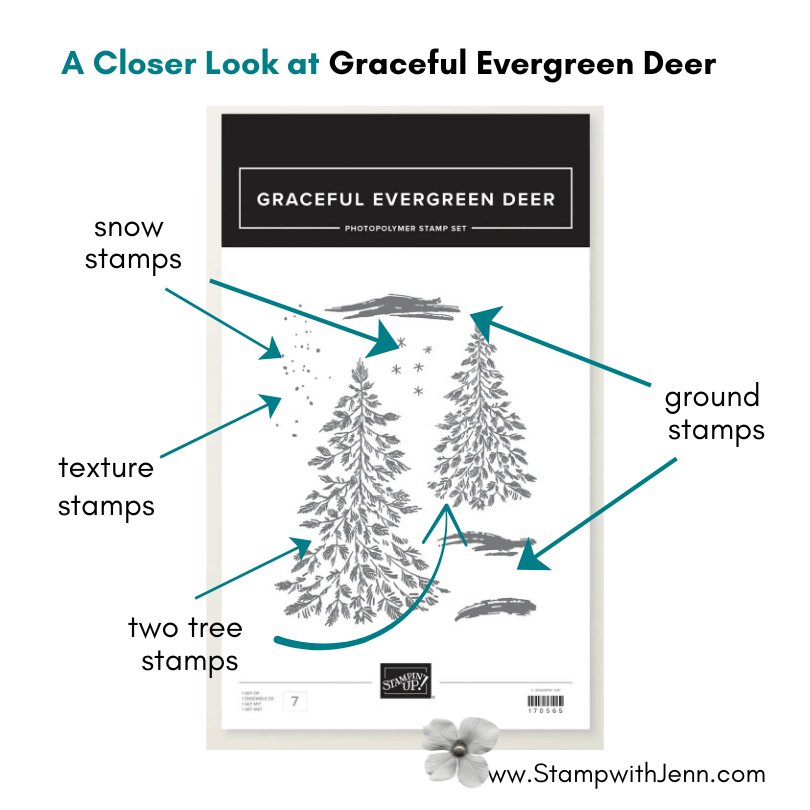 the images in graceful evergreen deer (3)