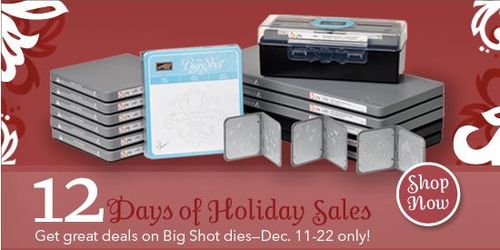 12 days of holiday sales 2009