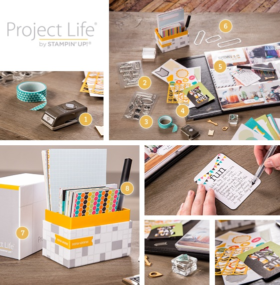 Project life products